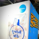 단비네 이미지