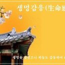 교훈글-생명감응(生命感應) 이미지