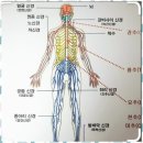 반석동바디관리 피부천사 노은점에서 느낀 특별한 변화