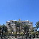 화산가든 이미지