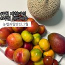 화천농협 | 7월 제철과일:: 무료 새벽배송으로 받아보는 농협 과일맛선 솔직후기!