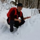 장산태권도 이미지