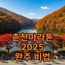 조선일보 보급소 | 2025 춘천마라톤, 코스 완주 꿀팁과 참가 준비: 가을의 전설을 달리다!