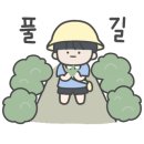 강남꽃화원 이미지