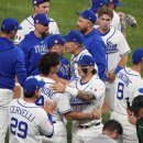 마이애미 이미지