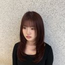 티엔피 이미지