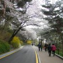 @ 서울 도심의 상큼한 뒷동산이자 일몰 해돋이 명소, 남산 나들이 (남산야외식물원, 목멱산봉수대, 한양도성) 이미지