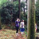 농업회사법인 숲이랑 이미지