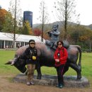 방장목장 이미지