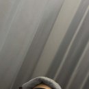 전주신세계정형외과병원 이미지