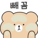 매직손세차스팀