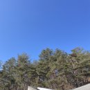 황토스테이일칠구(황토스테이179) 이미지