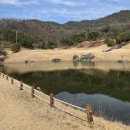 포천힐스 | 포천힐스CC, KLPGA 대회 열리는 그 코스 직접 라운딩⛳