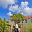 슬로메이 이미지