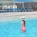 인천공항 고프로 대여 렌탈 가격 SD카드 풀패키지 고프로11 후기