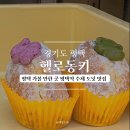 헬로동키 이미지