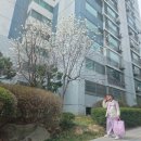 학교와 가정이 윈윈하는 학교참여 | 초등학교 1학년 첫 학부모상담 방문상담 후기| 상담시 나누면 좋은내용 정리