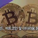 캠핑월드 이미지