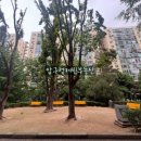 압구정-114 이미지