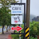 인투캣츠 이미지