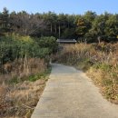 추자처사각 이미지