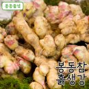 봉동참생강 이미지