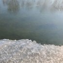 채움푸드 이미지