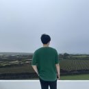 스테이인우도 이미지