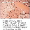 서울대병원 피부과 교수가 말하는 평생 때를 밀면 안 되는 이유 이미지