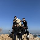 팀위너 복싱핏 이미지