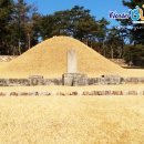 미래고속관광(주) 이미지