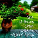 올에이플러스