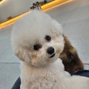 노리멍 이미지