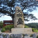 [영도구 태종대] 우리나라 최대 수국 군락지인 태종사 수국축제 이미지