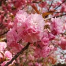 완산공원(아래) 이미지