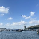 서망항2 | 싸고 싱싱한 꽃게 살 수 있는 진도 서망항