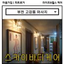 스카이바디케어 이미지