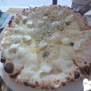 월피 | 꽃피는 화덕피자 월피점 3번째방문 내돈내산 후기