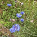 룸비니유치원 이미지