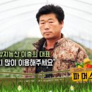 양지농산 네이버블로그