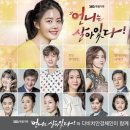 다비치안경 하단점 이미지