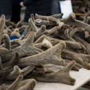 원용농장 이미지