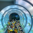 문예동산유치원 이미지