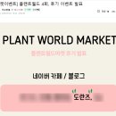 빽다방청라더리브티아모점 | 청라 희귀식물 스튜디오, 몬스마스터 몬스튜디오 방문기(+플랜트카드 수령!)