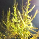 감자공인중개사사무소 이미지