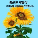 증평농협하나로마트(본점) 이미지