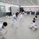 국가대표 메카태권도 이미지