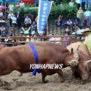 한밭축산 이미지