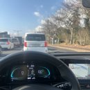 롯데스카이힐제주CC(대중형 18홀) | 제주 롯데스카이힐CC 대중제(힐/포레스트 코스) 겨울라운딩