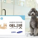 애니펫 이미지